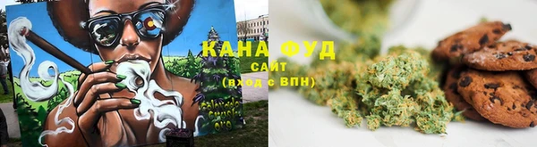 mdpv Богородск