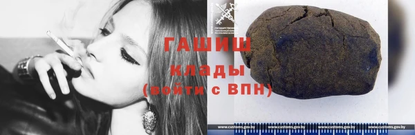 гидра Богданович
