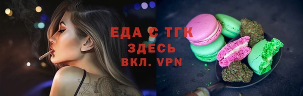 гидра Богданович