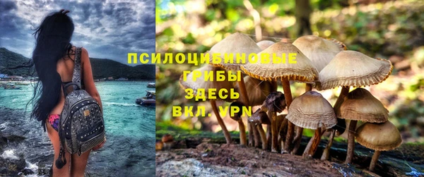 гидра Богданович