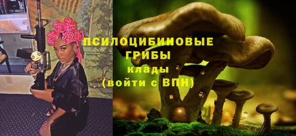 PSILOCYBIN Богородицк