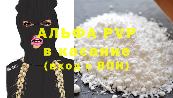 гидра Богданович