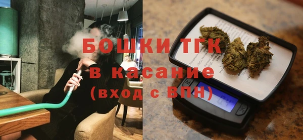 гидра Богданович