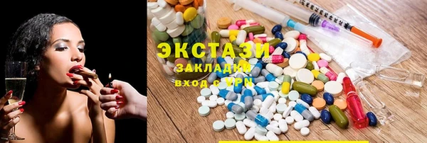 гидра Богданович